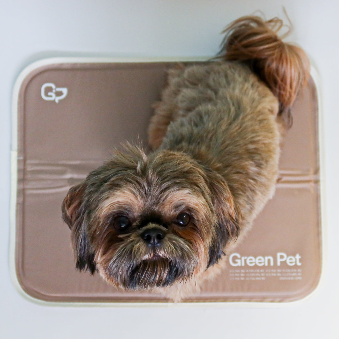 Cool Pet Pad