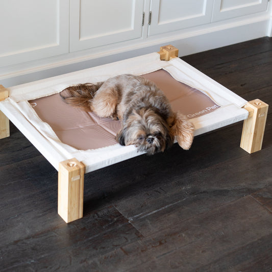 Elevated Bamboo Dog Bed